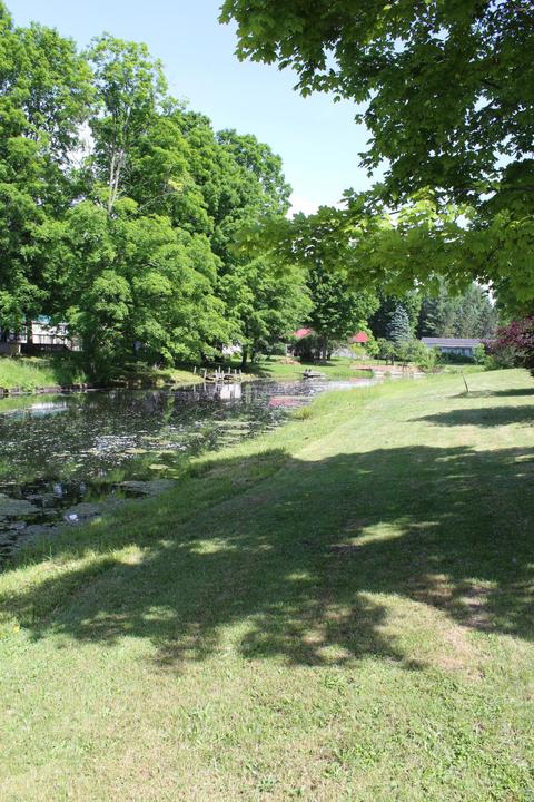 4063 E Shore Dr, Stanton, MI 48888 photo 8