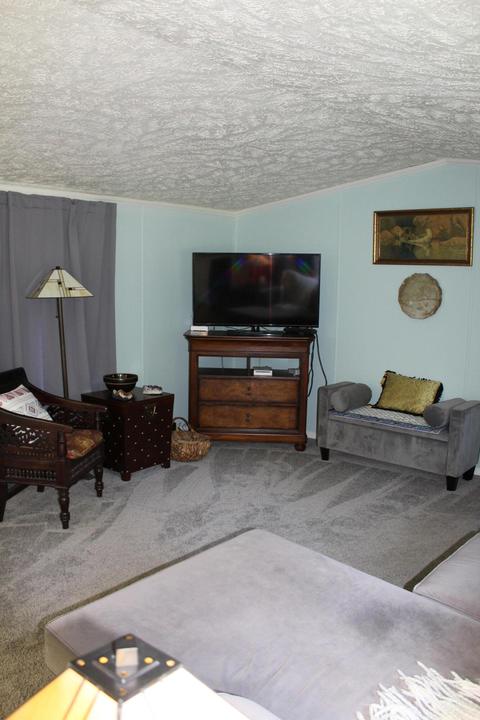 4063 E Shore Dr, Stanton, MI 48888 photo 21