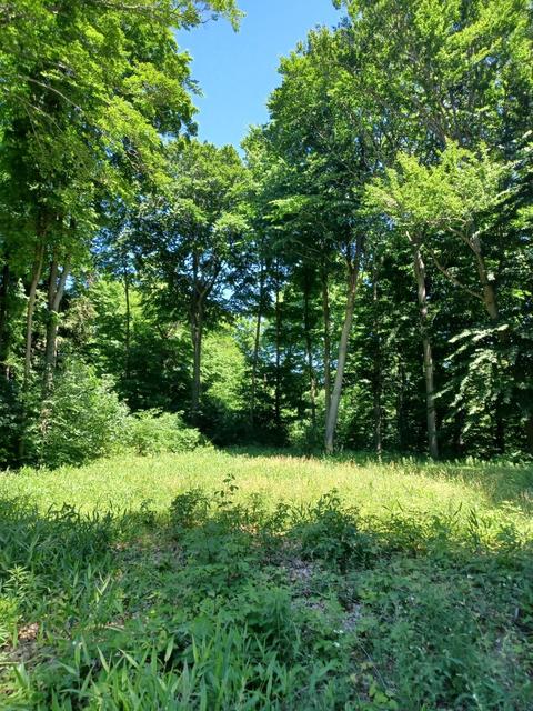 Vl Hawksnest Drive, South Haven, MI 49090