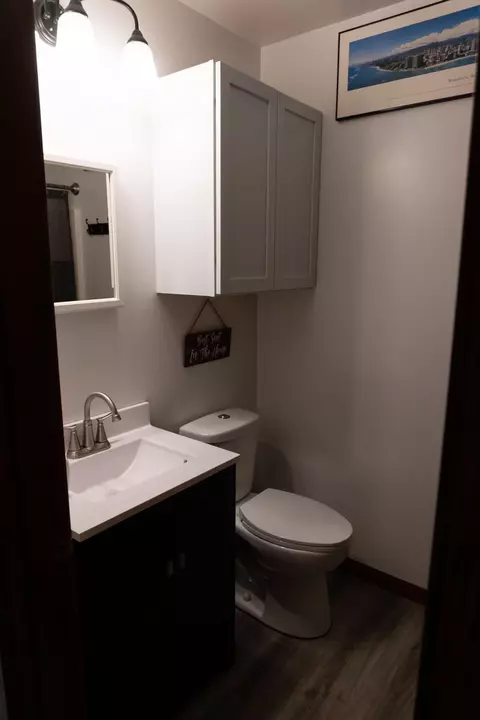 951 Lynn St, Sumner, MI 48889 photo 11
