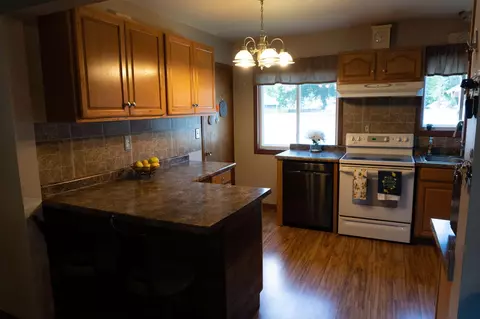 951 Lynn St, Sumner, MI 48889 photo 5