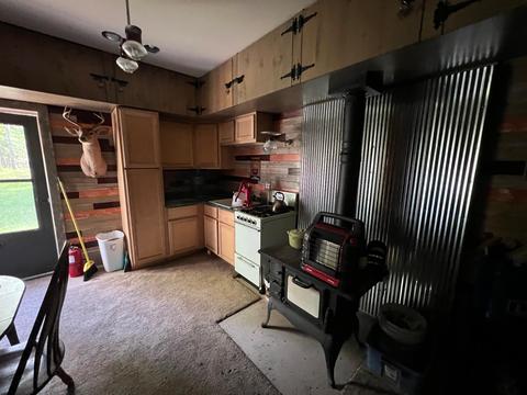 7970 E Koenig Rd, Irons, MI 49644 photo 12