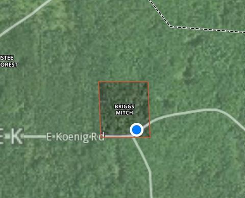 7970 E Koenig Rd, Irons, MI 49644 photo 5