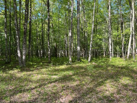 7970 E Koenig Rd, Irons, MI 49644 photo 10