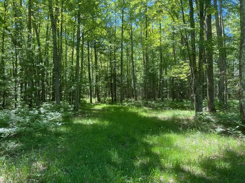 7970 E Koenig Rd, Irons, MI 49644 photo 22