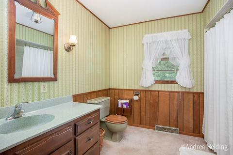 528 Rainbow Cir, Stanton, MI 48888 photo 14