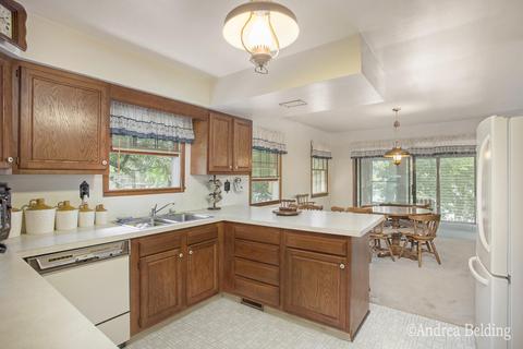 528 Rainbow Cir, Stanton, MI 48888 photo 12