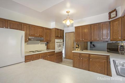 528 Rainbow Cir, Stanton, MI 48888 photo 11