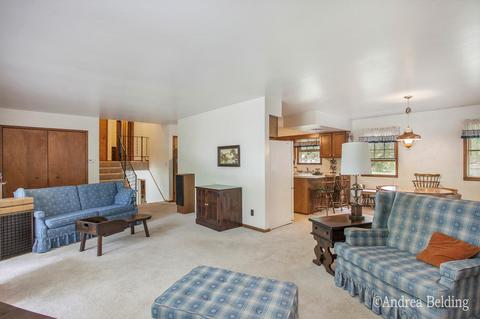 528 Rainbow Cir, Stanton, MI 48888 photo 8
