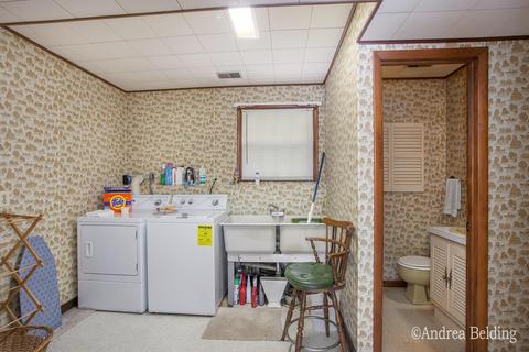 528 Rainbow Cir, Stanton, MI 48888 photo 20