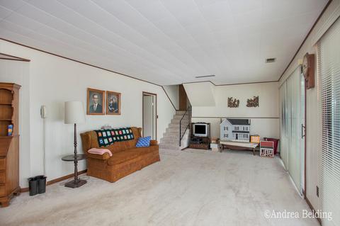 528 Rainbow Cir, Stanton, MI 48888 photo 19