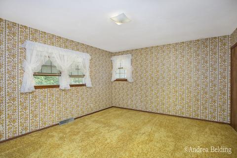 528 Rainbow Cir, Stanton, MI 48888 photo 15