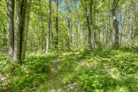 9 W Baseline Rd, White Cloud, MI 49349 photo 11