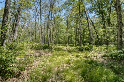 9 W Baseline Rd, White Cloud, MI 49349 photo 9