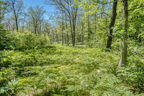 9 W Baseline Rd, White Cloud, MI 49349 photo 6