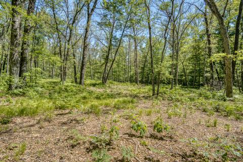 9 W Baseline Rd, White Cloud, MI 49349 photo 10