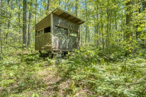 9 W Baseline Rd, White Cloud, MI 49349 photo 5