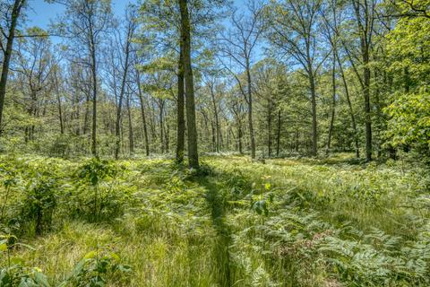 9 W Baseline Rd, White Cloud, MI 49349 photo 8