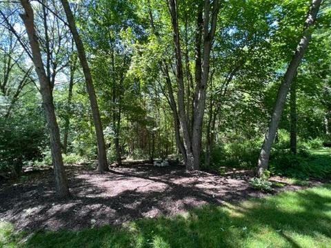 5857 Pheasant View Dr NE, Ada, MI 49301 photo 10