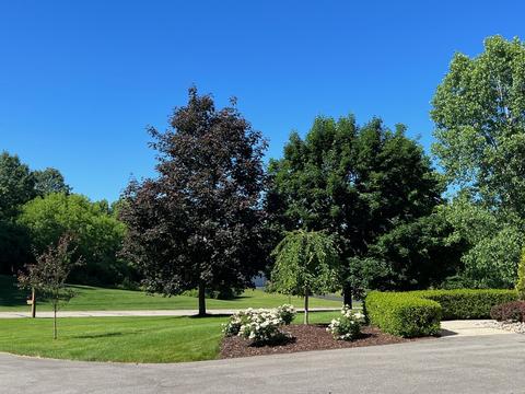5857 Pheasant View Dr NE, Ada, MI 49301 photo 2