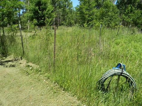 3828 S Tuttle Rd, Custer, MI 49405 photo 31