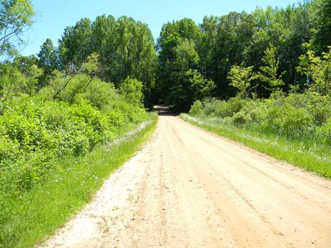 3828 S Tuttle Rd, Custer, MI 49405 photo 39