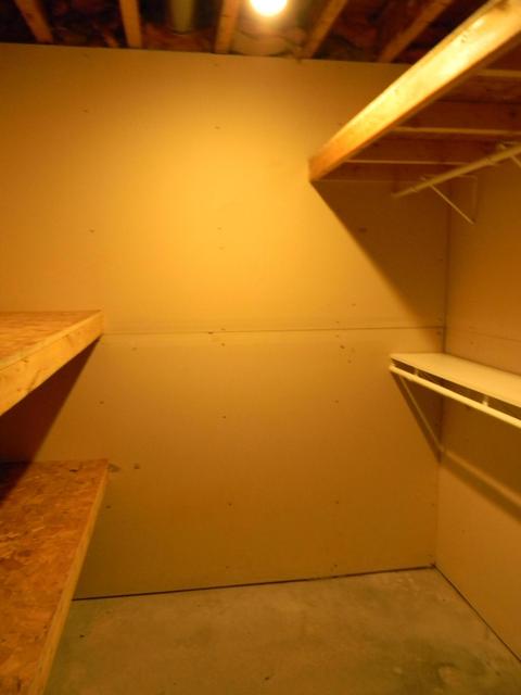 3828 S Tuttle Rd, Custer, MI 49405 photo 29