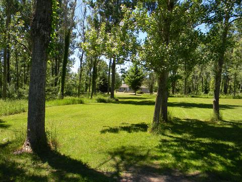 3828 S Tuttle Rd, Custer, MI 49405 photo 32
