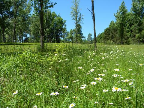 3828 S Tuttle Rd, Custer, MI 49405 photo 33
