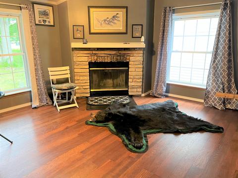 6812 E Madison Rd, Walkerville, MI 49459 photo 5