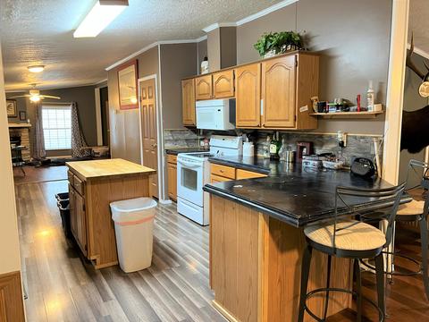 6812 E Madison Rd, Walkerville, MI 49459 photo 8