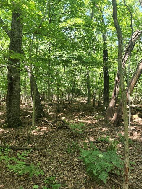 V/l Chippewa Drive, Montague, MI 49437