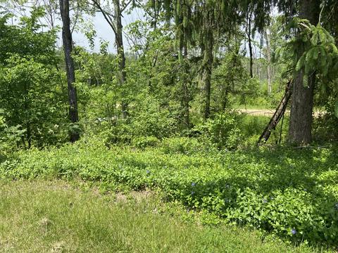 69259 26th Ave, Covert, MI 49043 photo 7