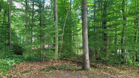 5424 Hillcrest St, Gladwin, MI 48624 photo 2