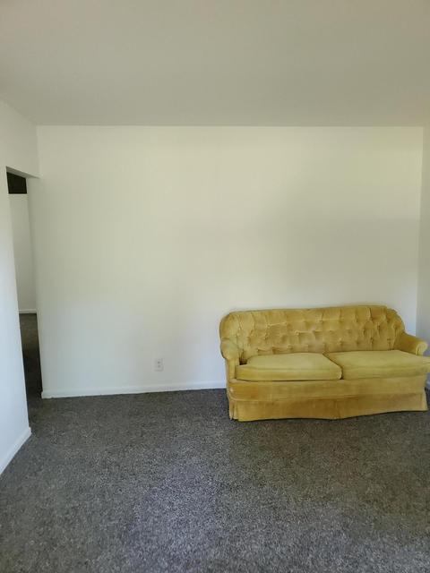 1102 Maple St, Albion, MI 49224 photo 4