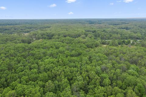 290 E 1 Mile Rd, White Cloud, MI 49349 photo 26