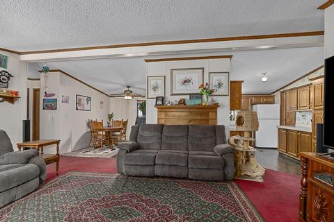 290 E 1 Mile Rd, White Cloud, MI 49349 photo 10