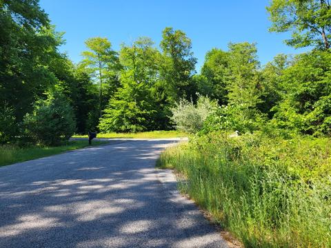 0 Duck Creek Ln #14, Whitehall, MI 49461