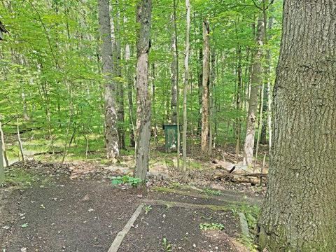 9651 S Briar Ave, Baldwin, MI 49304 photo 10
