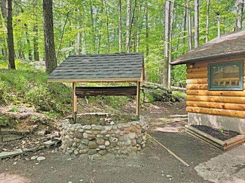 9651 S Briar Ave, Baldwin, MI 49304 photo 21