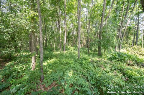 811 Thompson Ct, Belding, MI 48809 photo 46