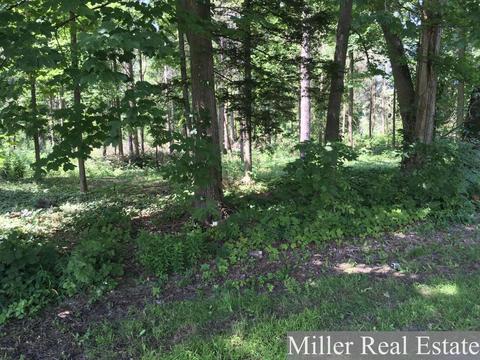 V/l Shriner St, Hastings, MI 49058