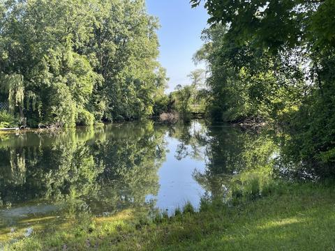 3350 Henry Rd, Jackson, MI 49201 photo 10