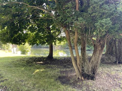 3350 Henry Rd, Jackson, MI 49201 photo 4