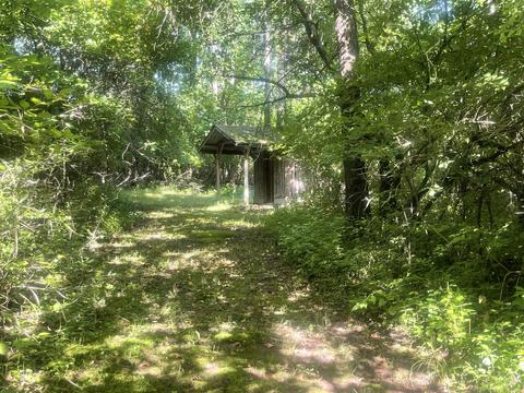 3350 Henry Rd, Jackson, MI 49201 photo 61