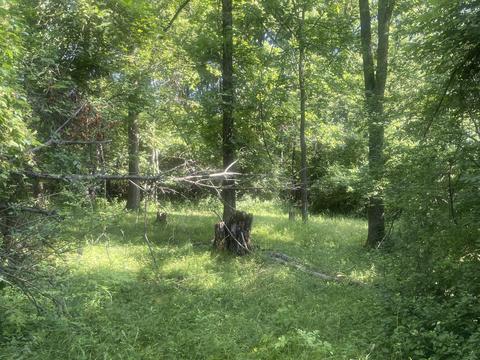 3350 Henry Rd, Jackson, MI 49201 photo 64