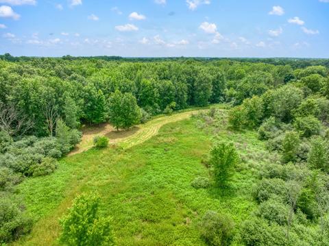 6900 King Rd, Spring Arbor, MI 49283 photo 49
