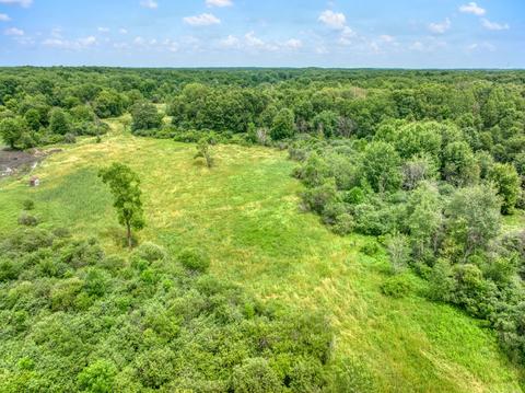 6900 King Rd, Spring Arbor, MI 49283 photo 48