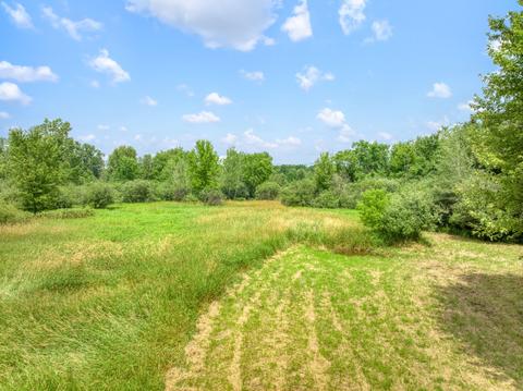 6900 King Rd, Spring Arbor, MI 49283 photo 40