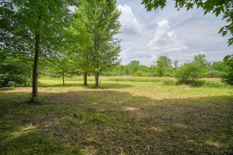 6900 King Rd, Spring Arbor, MI 49283 photo 38